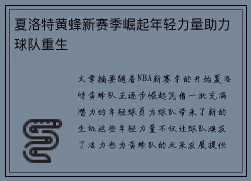夏洛特黄蜂新赛季崛起年轻力量助力球队重生